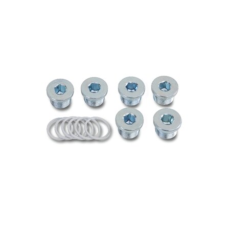 Beta Oil Drain Plugs/Wash Kit, M13x1.5, 6 pcs. 14950513